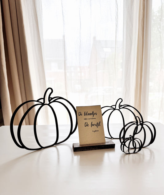 Herfstdecoratie – Pompoenenset